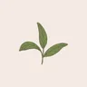 Profile picture of KaiD